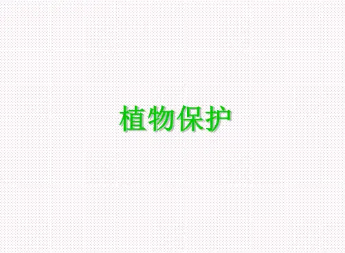 地下害虫识别