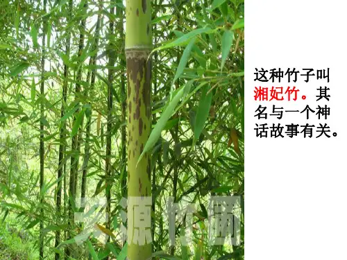 (最新)选修古代诗歌散文欣赏第1单元 《湘夫人》优秀课件