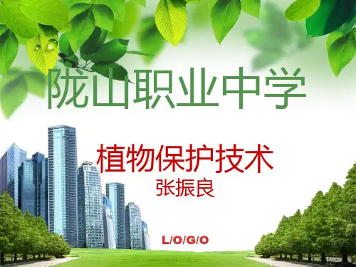 苹果树腐烂病