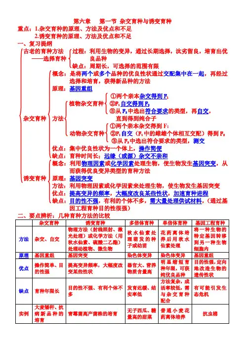人教版 高中生物必修二第六章复习提纲