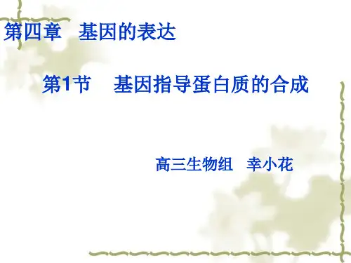 人教版高中生物必修2第四章第1节基因指导蛋白质的合成ppt课件