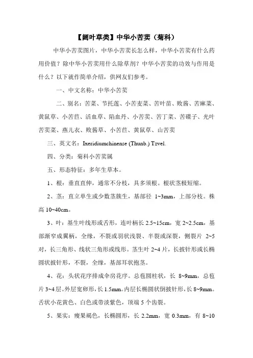 【阔叶草类】中华小苦荬(菊科)