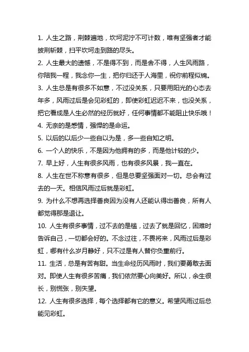 人生风雨路经典语录