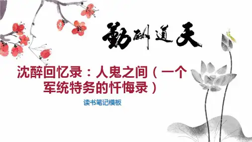 沈醉回忆录：人鬼之间(一个军统特务的忏悔录)