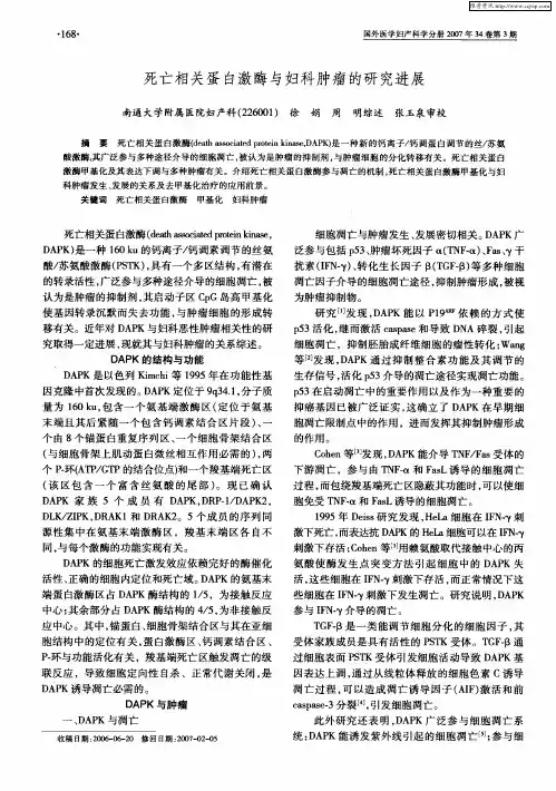 死亡相关蛋白激酶与妇科肿瘤的研究进展