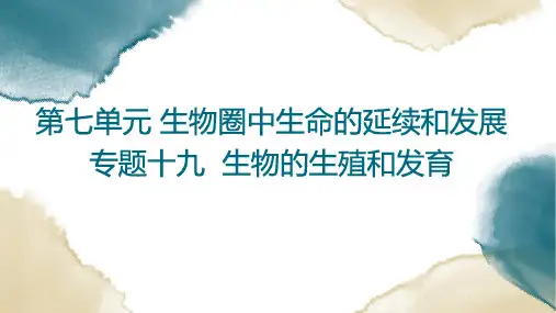 初中生物总复习 专题19生物的生殖和发育
