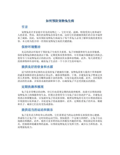 如何预防宠物兔生病