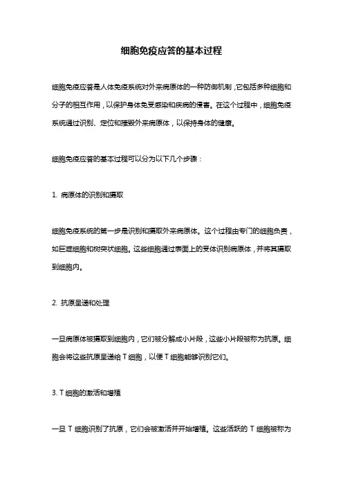 细胞免疫应答的基本过程