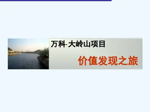 万科_东莞万科大岭山麓湖别墅项目前期策划报告_164PPT