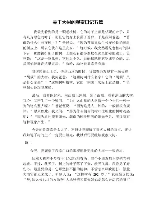 关于大树的观察日记五篇