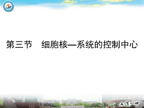 山东省日照青山学校高中生物必修一课件：3.3细胞核—系统的控制中心(共21张PPT)