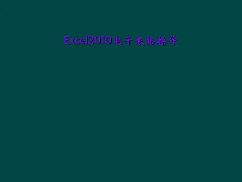 Excel2010电子表格操作