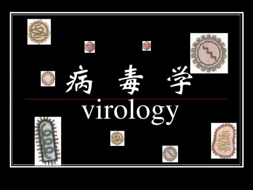 (22、24)病毒的基本性状检查方法与防治原则