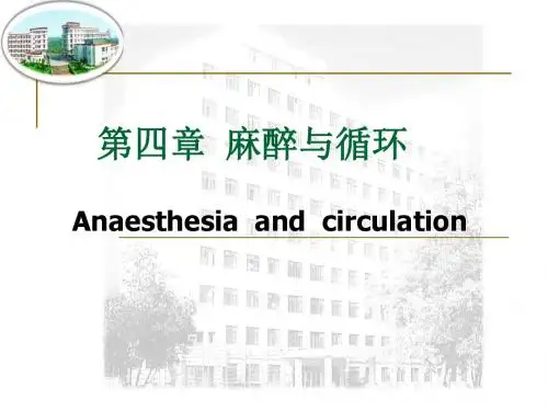 麻醉与循环