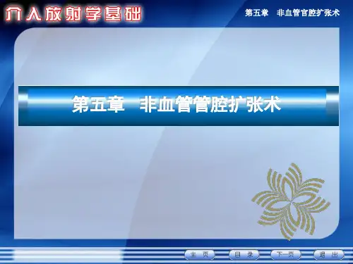 第五章  非血管管腔扩张术