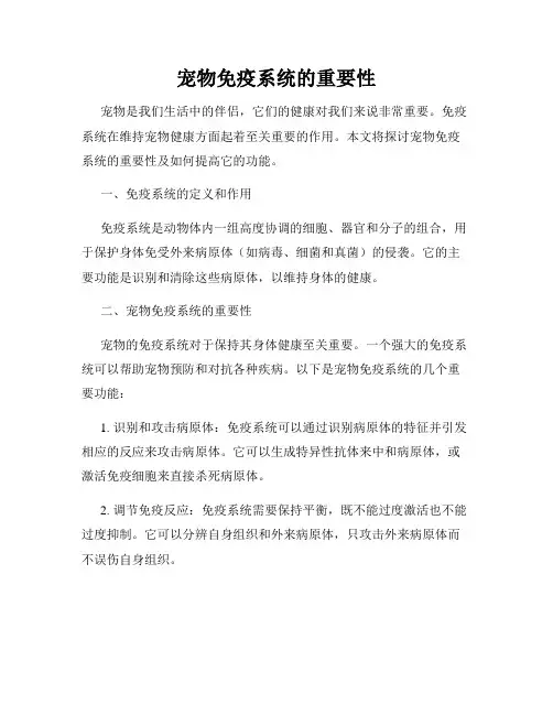 宠物免疫系统的重要性