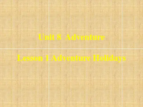 北师大版高中英语必修三Unit8 Adventure lesson1名师公开课优质课件 (16)