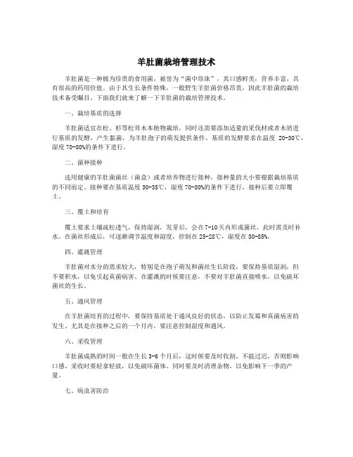 羊肚菌栽培管理技术