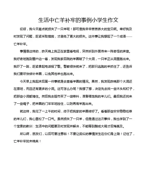 生活中亡羊补牢的事例小学生作文
