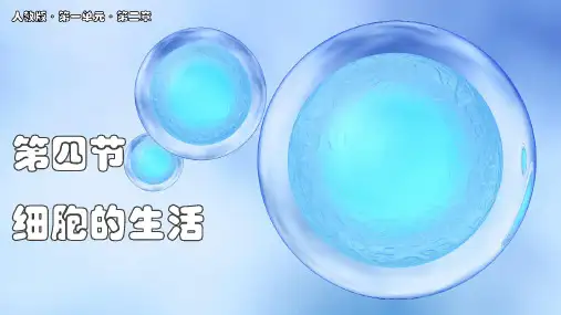 新教材人教版七年级上册生物 1.2.4 细胞的生活课件