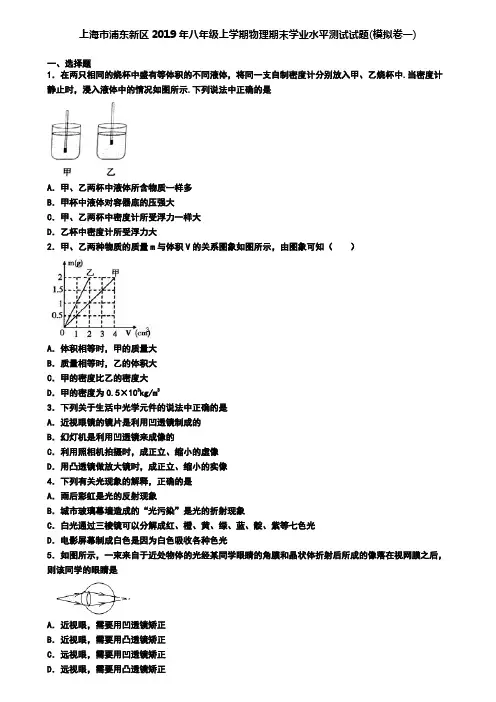 上海市浦东新区2019年八年级上学期物理期末学业水平测试试题(模拟卷一)