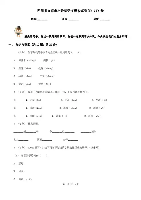 四川省宜宾市小升初语文模拟试卷(3)(I)卷