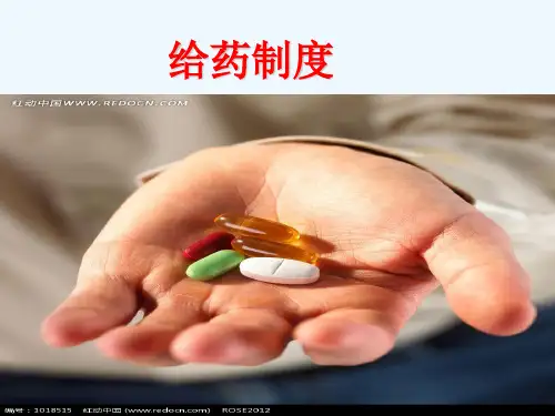 给药制度PPT课件