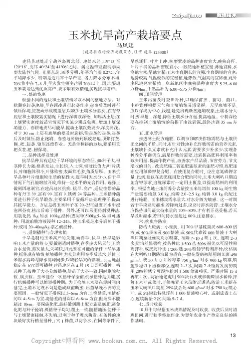 玉米抗旱高产栽培要点
