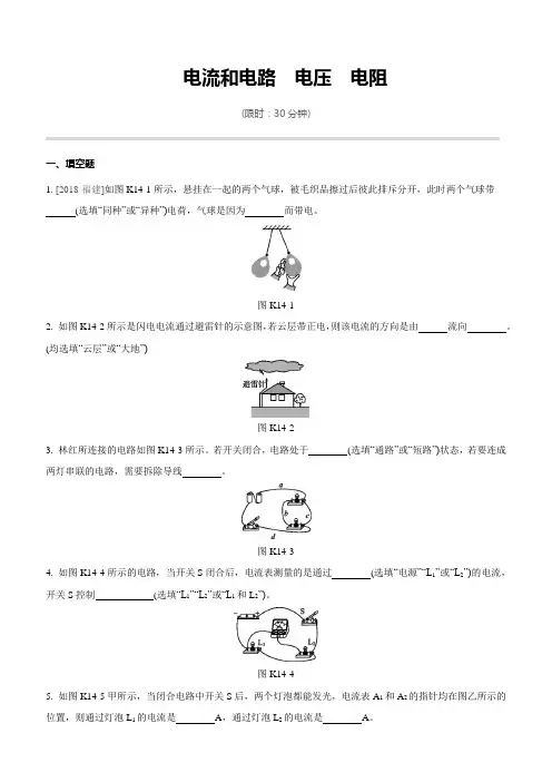 物理中考专题复习《电学》练习电流和电路 电压 电阻【有答案】
