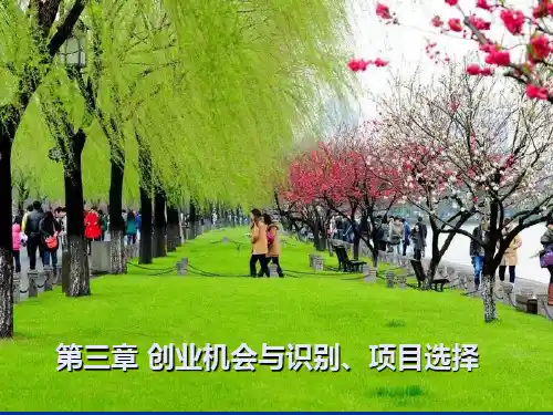 第3章创业机会识别创业项目选择精品资料PPT课件