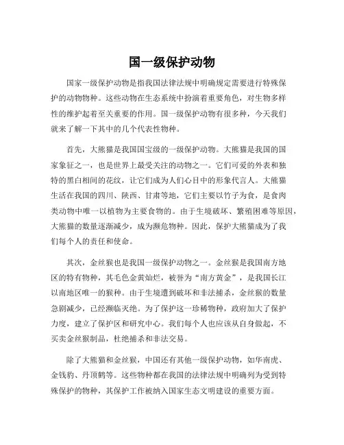 国一级保护动物