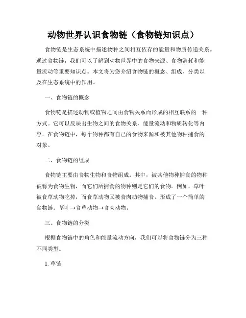 动物世界认识食物链(食物链知识点)