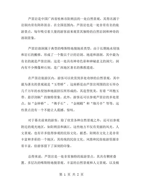 芦笛岩作文范文