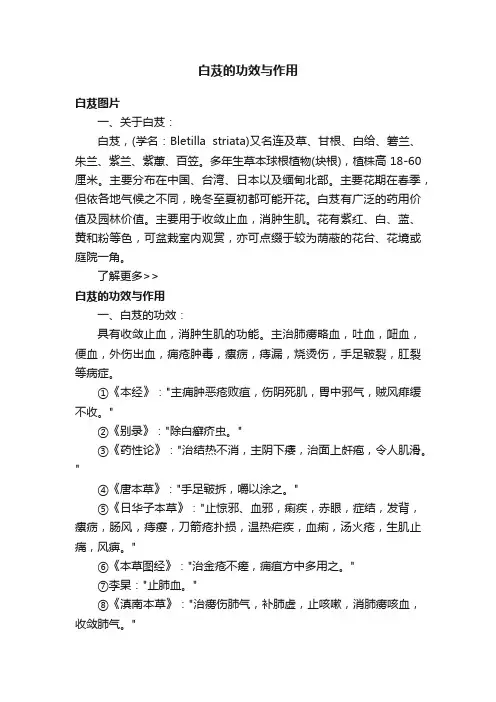 白芨的功效与作用