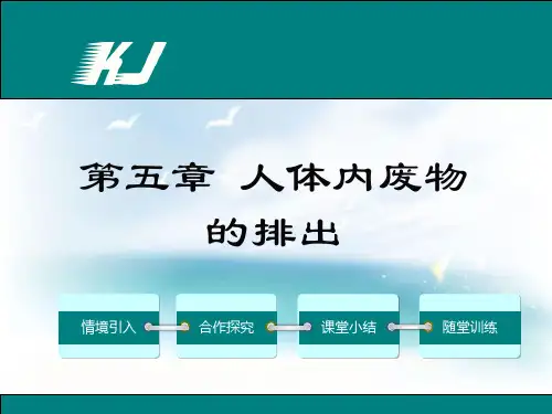 第五章人体内废物的排出课件(人教版生物)