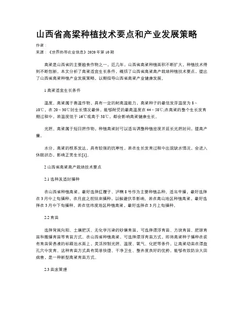 山西省高粱种植技术要点和产业发展策略