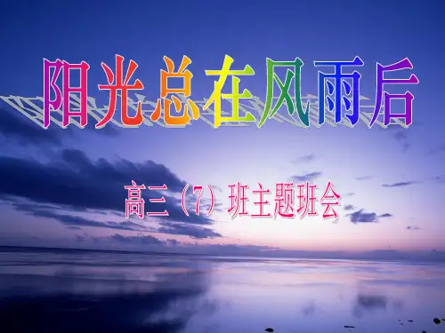 阳光总在风雨后PPT参考课件