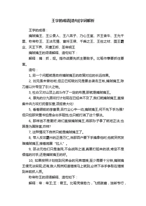 王字的成语造句字词解析