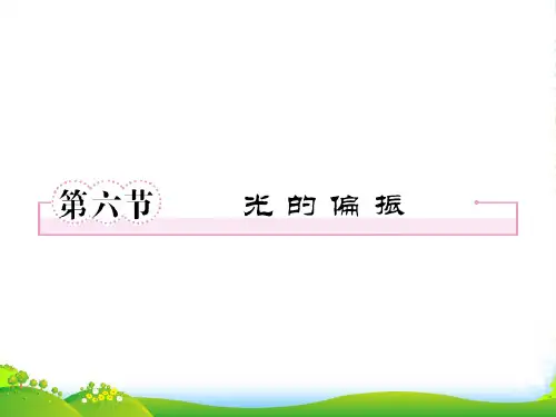 高中物理 第十三章第六节光的偏振课件 新人教选修34