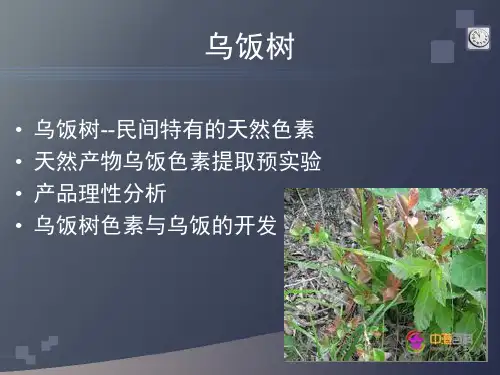 乌饭树色素方面的探究
