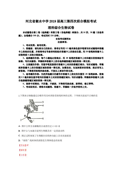 河北省衡水中学2019届高三第四次联合模拟考试理科综合生物试卷