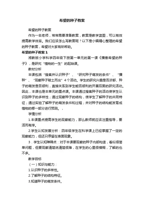 希望的种子教案