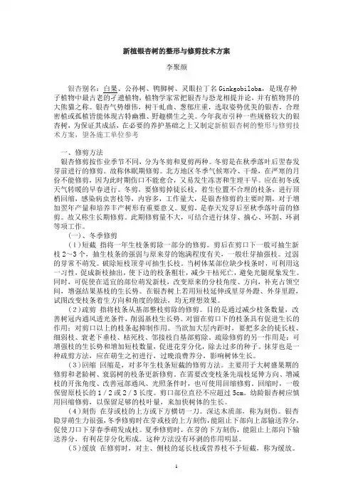 新植银杏树的整形与修剪技术方案