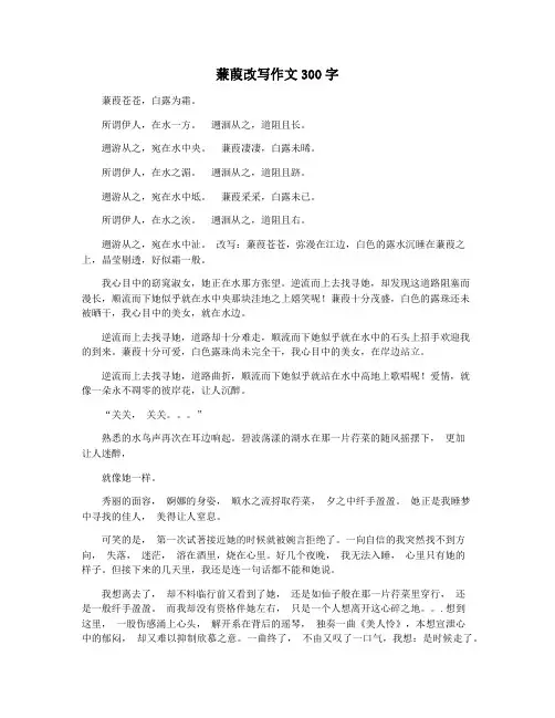 蒹葭改写作文300字