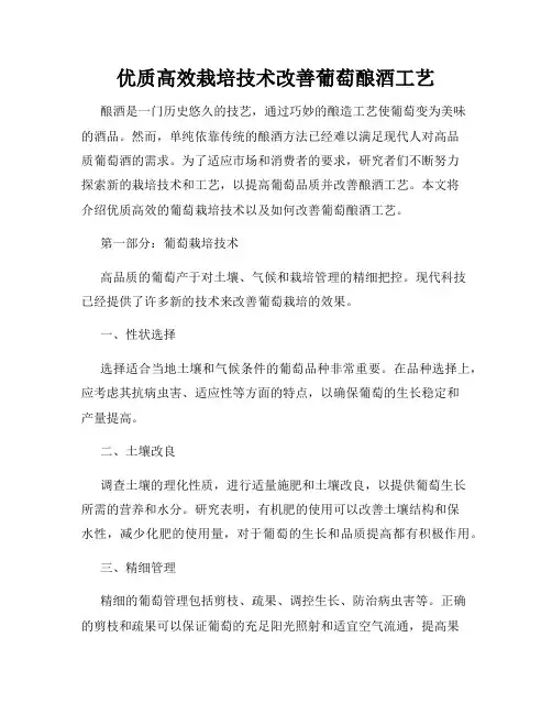 优质高效栽培技术改善葡萄酿酒工艺