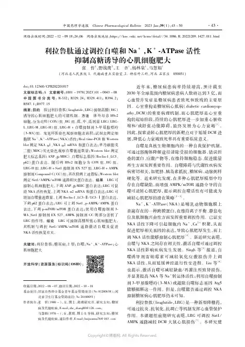 利拉鲁肽通过调控自噬和Na+,K+-ATPase活