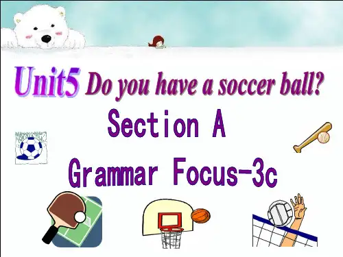 英语人教版七年级上册 Unit5_SectionA(Grammar_Focus-3c)优质课课件