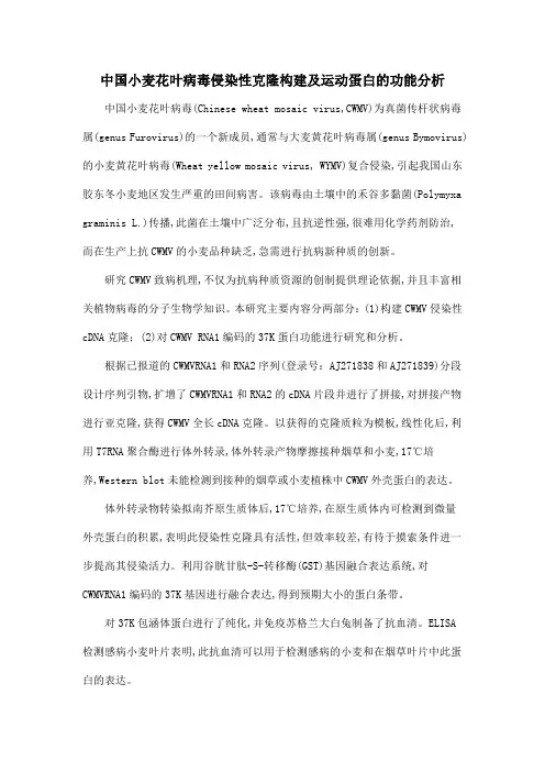 中国小麦花叶病毒侵染性克隆构建及运动蛋白的功能分析