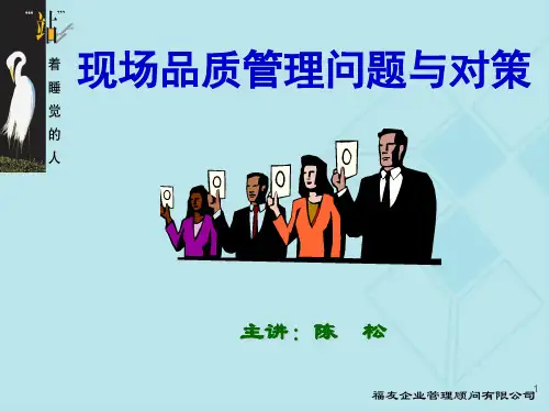 现场品质问题与对策.ppt
