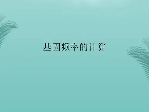 基因频率的计算(精选优秀)PPT